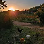 Feriehus Isola Natura Farm Retreat Sardinia