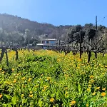 Isola Natura Farm Retreat Sardinia Feriehus Tempio Pausania