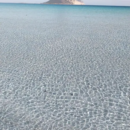 Isola Natura Farm Retreat Sardinia Prázdninový dům Tempio Pausania
