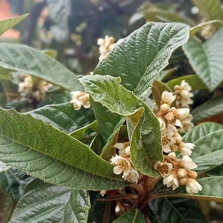 Isola Natura Farm Retreat Sardinia *