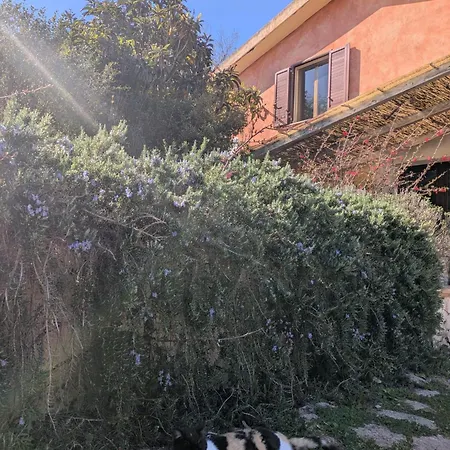 Prázdninový dům Isola Natura Farm Retreat Sardinia *