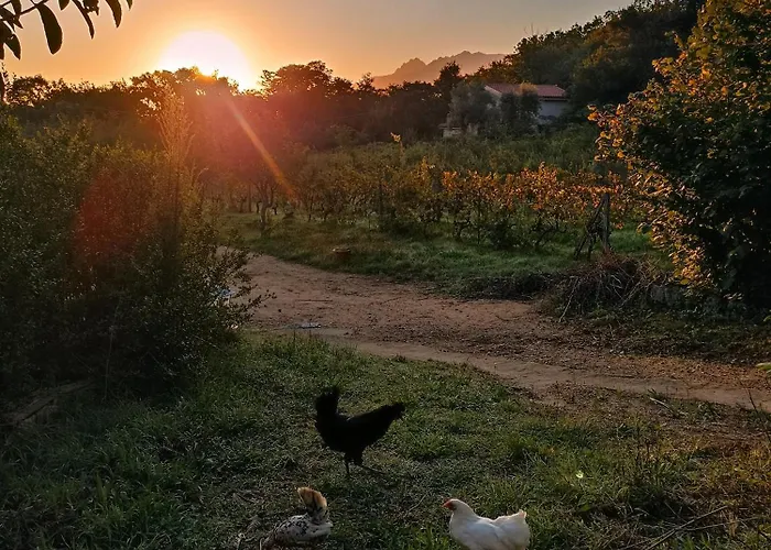 Tatil Evi Isola Natura Farm Retreat Sardinia