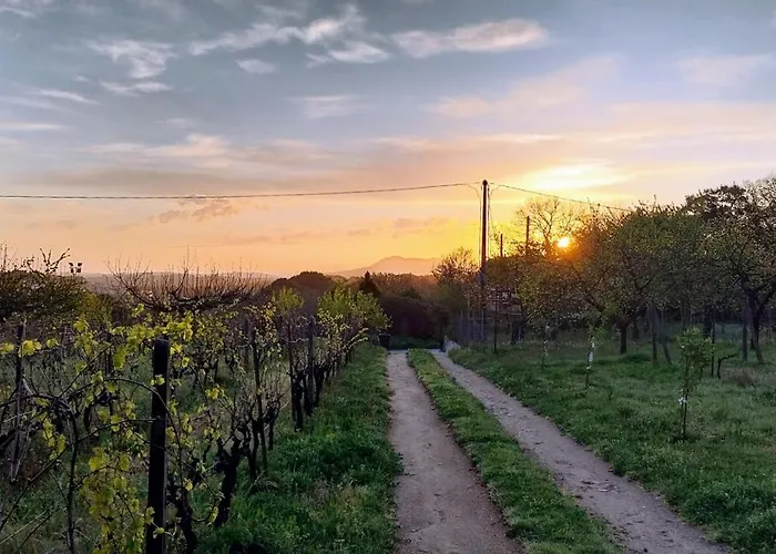 Holiday home Isola Natura Farm Retreat Sardinia *